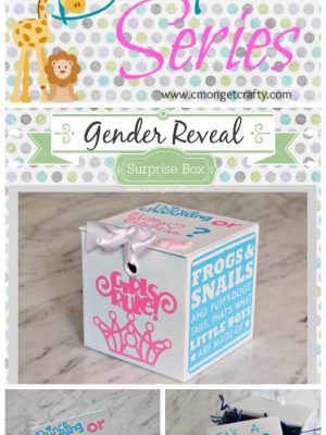 Here's a gender reveal idea you can make at home for super cheap! #diy #babyshower #babyseries #genderreveal #cricut #crafts