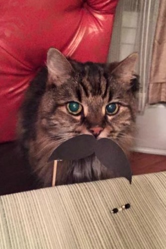 Cmon Get Crafty Girls Night Glass 12 - C'mon Get Crafty Girls Night Wine Glass Craft