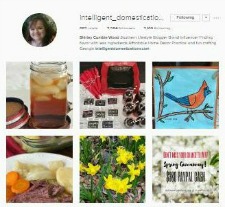 Intelligent Domestications Instagram Intelligent Domestications