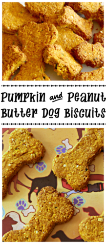 dog biscuit recipe pumpkin peanut butter