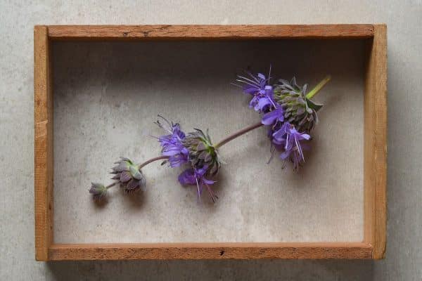 5 Unique Shadow Box Ideas To Inspire Your Next Crafting Project