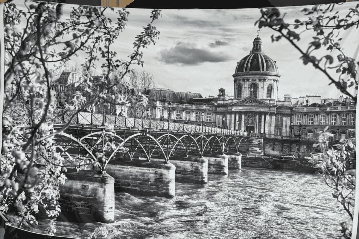 Big Wall Decor Portrait landscape 7 - C'mon Get Crafty Close-up of landscape black and white art printed tapestry - wall decor